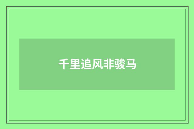 千里追风非骏马