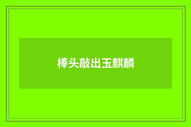 棒头敲出玉麒麟