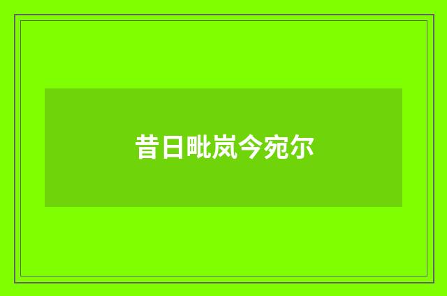 昔日毗岚今宛尔