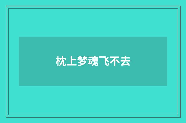 枕上梦魂飞不去