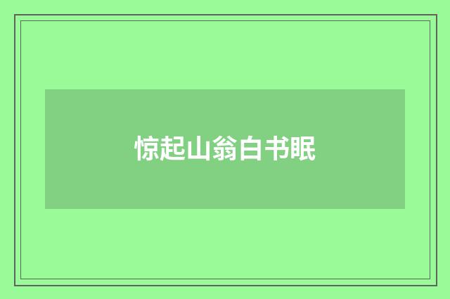 惊起山翁白书眠