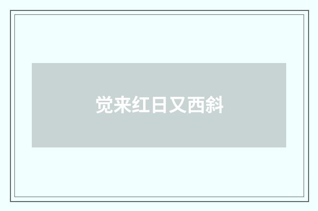 觉来红日又西斜