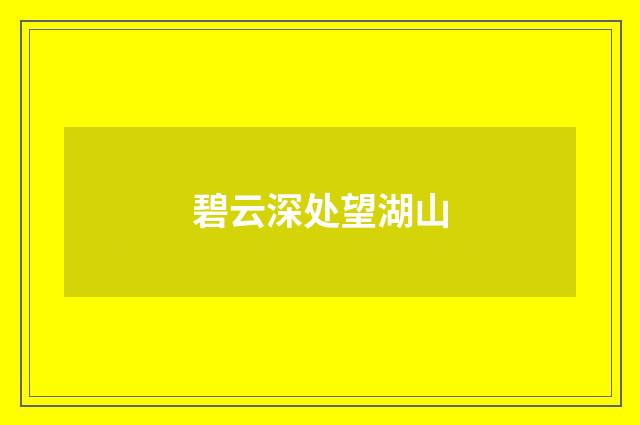 碧云深处望湖山