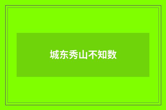 城东秀山不知数