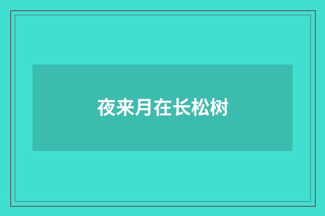 夜来月在长松树