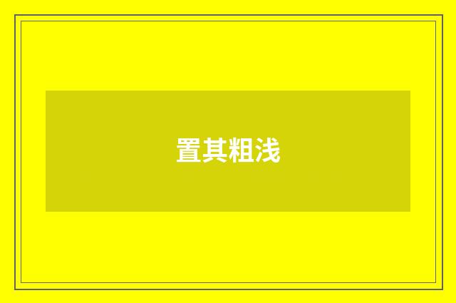 置其粗浅