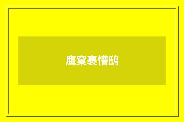 鹰窠裹懵鸱