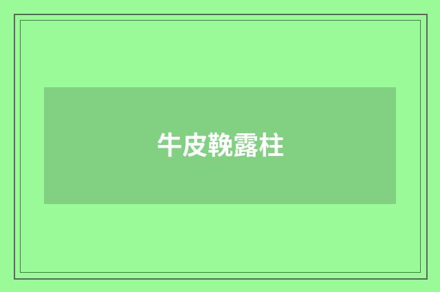牛皮鞔露柱