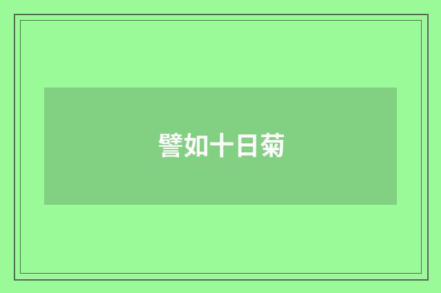 譬如十日菊
