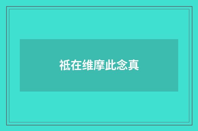 祗在维摩此念真