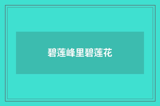 碧莲峰里碧莲花