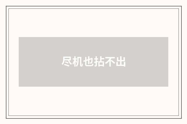 尽机也拈不出