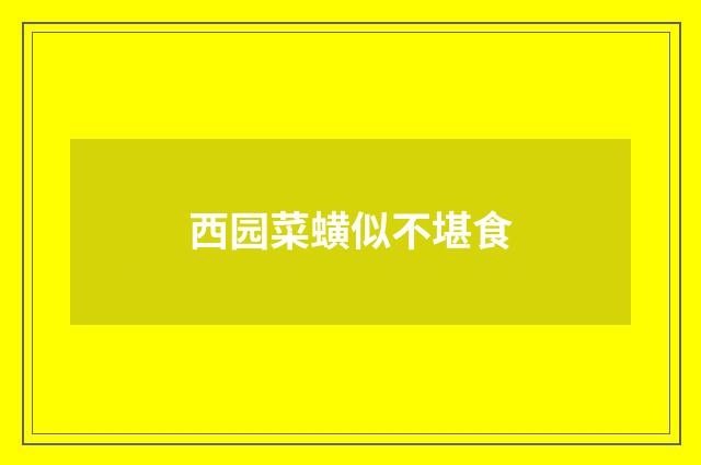 西园菜蟥似不堪食