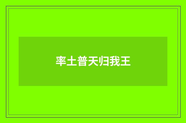 率土普天归我王