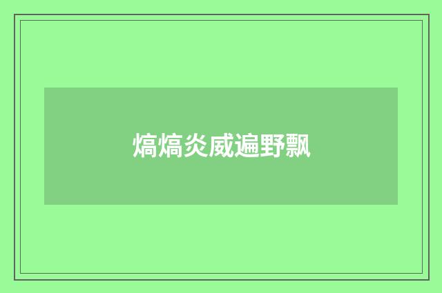 熇熇炎威遍野飘