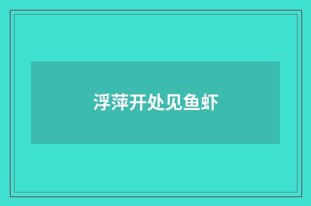 浮萍开处见鱼虾