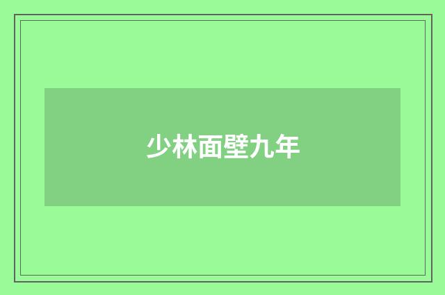 少林面壁九年