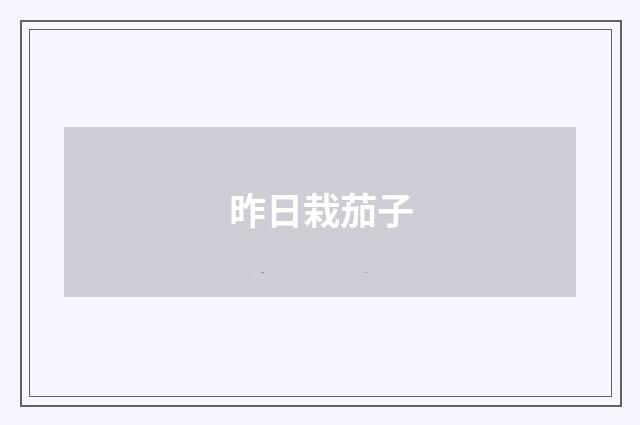 昨日栽茄子