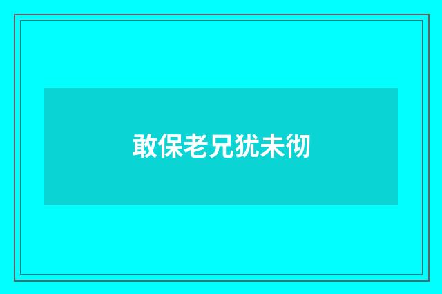 敢保老兄犹未彻
