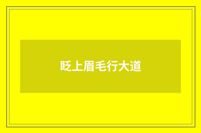 眨上眉毛行大道
