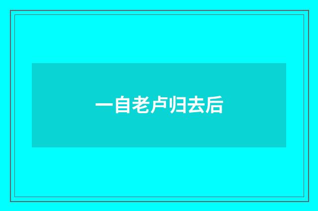 一自老卢归去后
