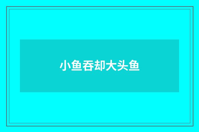 小鱼吞却大头鱼
