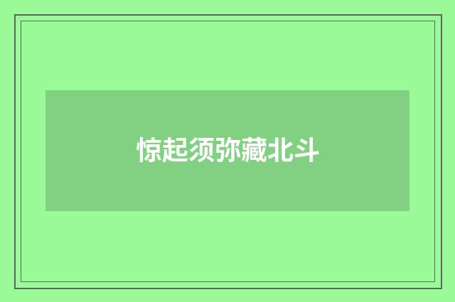 惊起须弥藏北斗
