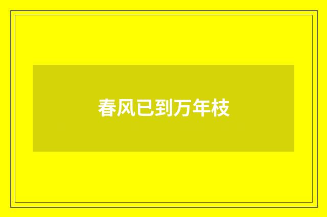春风已到万年枝