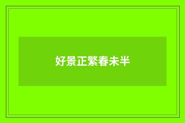 好景正繁春未半