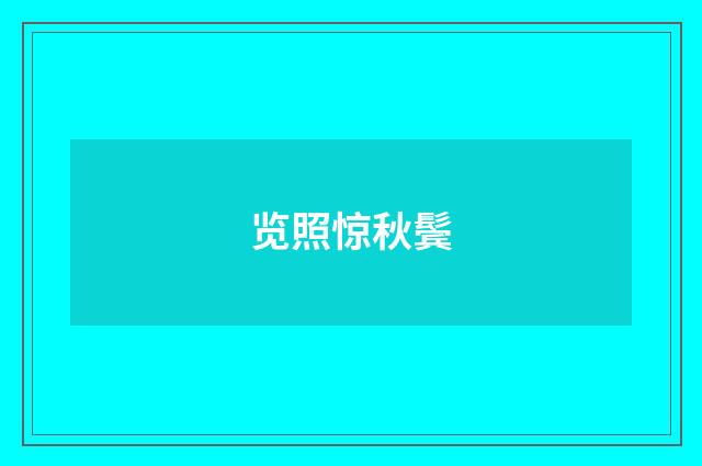 览照惊秋鬓