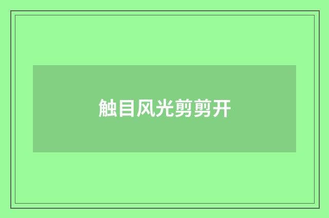 触目风光剪剪开