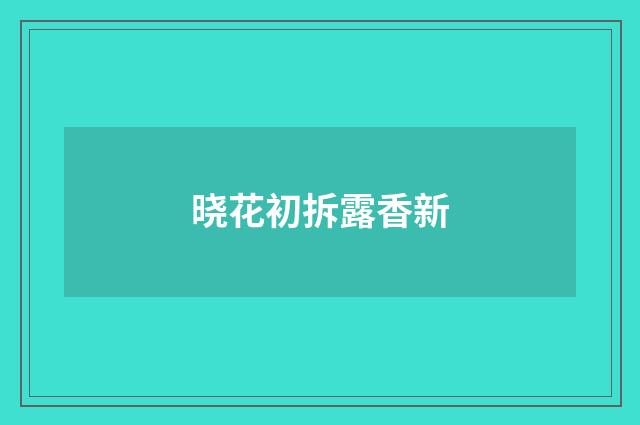 晓花初拆露香新