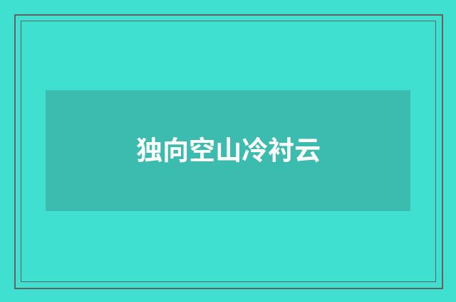 独向空山冷衬云
