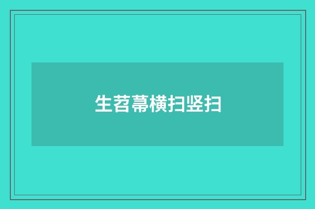生苕菷横扫竖扫