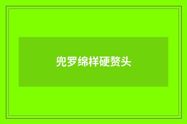 兜罗绵样硬赘头