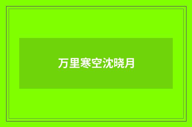 万里寒空沈晓月