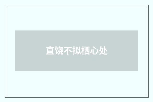 直饶不拟栖心处