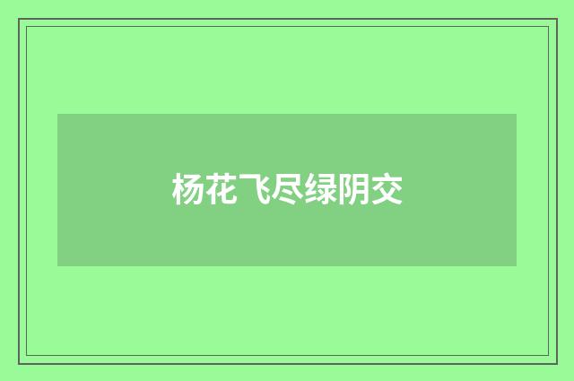 杨花飞尽绿阴交