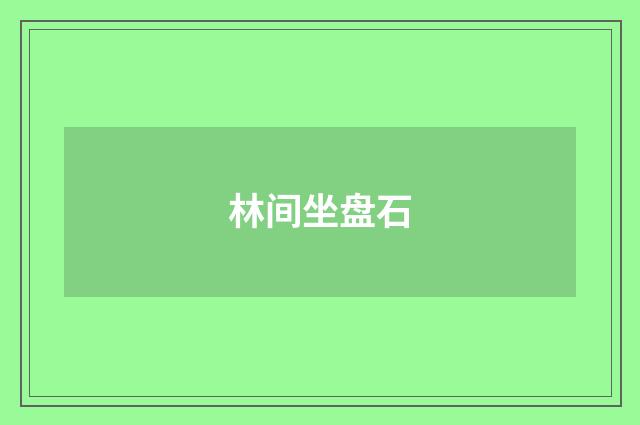 林间坐盘石