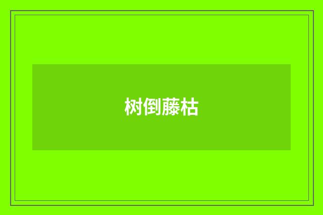 树倒藤枯