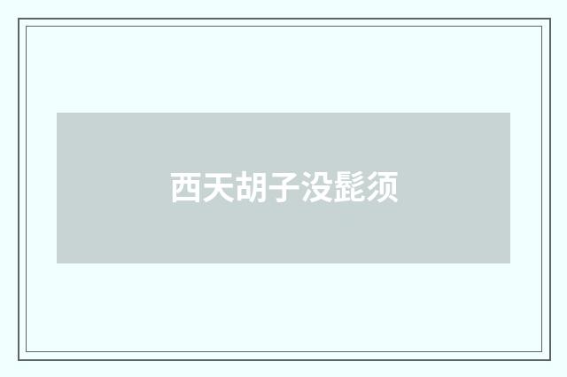 西天胡子没髭须