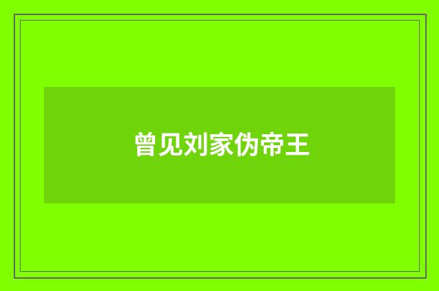 曾见刘家伪帝王