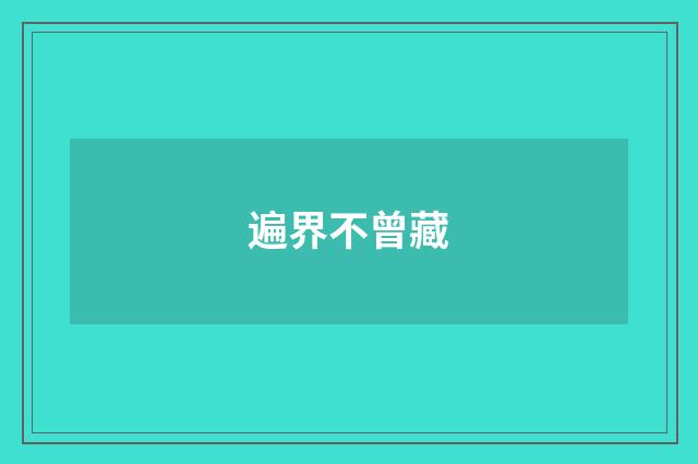 遍界不曾藏