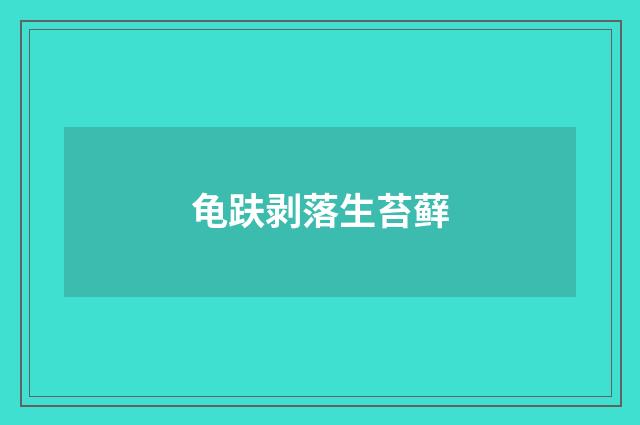 龟趺剥落生苔藓