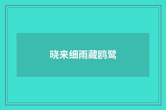 晓来细雨藏鸥鹭