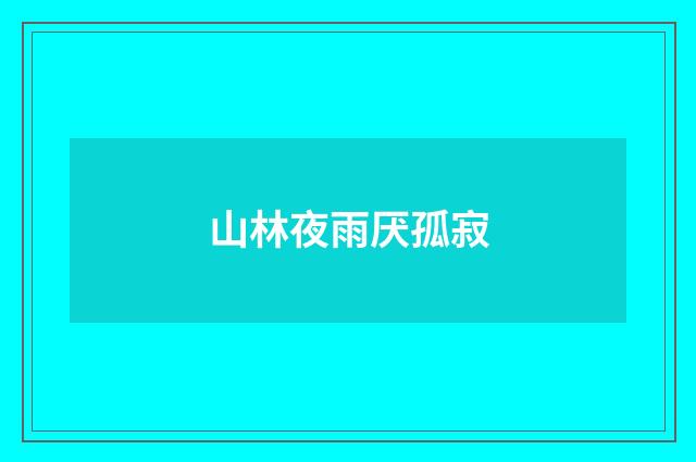 山林夜雨厌孤寂