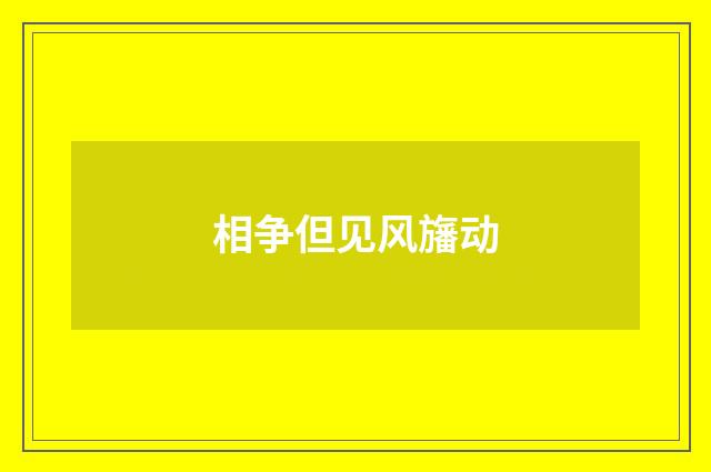 相争但见风旛动