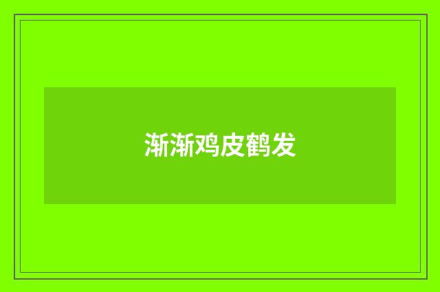 渐渐鸡皮鹤发