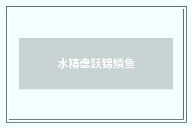 水精盘跃锦鳞鱼