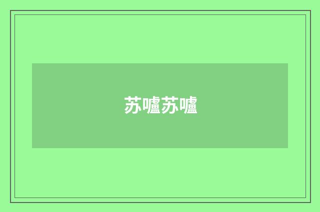 苏嚧苏嚧